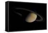 Saturn in Natural Color-null-Framed Stretched Canvas