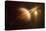 Saturn in Outer Space Against Sun and Star Field-null-Stretched Canvas