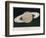 Saturn Observed by L. Trouvelot from a French Observatory-null-Framed Photographic Print