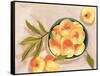 Saturn Peaches II-Melissa Wang-Framed Stretched Canvas