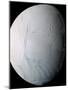 Saturn's Moon Enceladus-Stocktrek Images-Mounted Premium Photographic Print