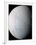 Saturn's Moon Enceladus-Stocktrek Images-Framed Photographic Print