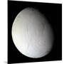 Saturn's Moon Enceladus-Stocktrek Images-Mounted Photographic Print