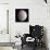 Saturn's Moon Rhea, Cassini Image-null-Photographic Print displayed on a wall