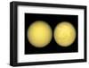 Saturn's Moon Titan, Cassini Images-null-Framed Photographic Print