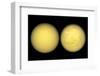 Saturn's Moon Titan, Cassini Images-null-Framed Photographic Print