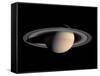 Saturn-Stocktrek Images-Framed Stretched Canvas