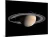 Saturn-Stocktrek Images-Mounted Photographic Print