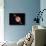 Saturn-null-Photographic Print displayed on a wall