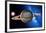 Saturn-Detlev Van Ravenswaay-Framed Photographic Print