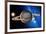 Saturn-Detlev Van Ravenswaay-Framed Photographic Print