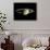 Saturn-Michael Benson-Mounted Photographic Print displayed on a wall