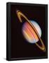 Essential Black