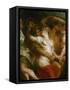 Satyr Embracing a Bacchante-Peter Paul Rubens-Framed Stretched Canvas