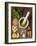 Sauce Pesto and its Ingredients on Rough Wood-Andrii Gorulko-Framed Photographic Print