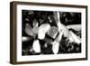 Saucer Magnolia III-Alan Hausenflock-Framed Photographic Print