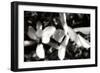 Saucer Magnolia III-Alan Hausenflock-Framed Photographic Print