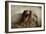 Saudade-Olga Mest-Framed Photographic Print