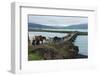 Saudarkrokur, Skagafjšrdur Mouth, Iceland Horses Passing Bridge-Catharina Lux-Framed Photographic Print