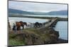 Saudarkrokur, Skagafjšrdur Mouth, Iceland Horses Passing Bridge-Catharina Lux-Mounted Photographic Print