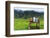 Saudhusvšllur, Milk Churns-Catharina Lux-Framed Photographic Print