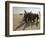 Saudi Arabia Army Soldiers U.S.Troops Arriving Air Base-Bob Daugherty-Framed Photographic Print