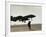 Saudi Arabia Army U.S. Forces A10 Warthog Attack Plane Kuwait Crisis-null-Framed Photographic Print