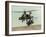 Saudi Arabia Army U.S. Forces Apache Assault Helicopters Kuwait Crisis-Bob Daugherty-Framed Photographic Print