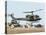 Saudi Arabia Army U.S. Marine UH-1 Huey Helicopters-Tannen Maury-Stretched Canvas
