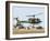 Saudi Arabia Army U.S. Marine UH-1 Huey Helicopters-Tannen Maury-Framed Premium Photographic Print