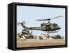 Saudi Arabia Army U.S. Marine UH-1 Huey Helicopters-Tannen Maury-Framed Stretched Canvas