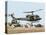 Saudi Arabia Army U.S. Marine UH-1 Huey Helicopters-Tannen Maury-Stretched Canvas