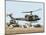 Saudi Arabia Army U.S. Marine UH-1 Huey Helicopters-Tannen Maury-Mounted Photographic Print