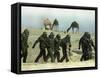 Saudu Arabia Army U.S. Marines Chemical Suits and Masks Warfare-Diether Endlicher-Framed Stretched Canvas