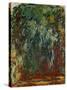 Saule pleureur, Giverny (Weeping willow, Giverny) Painted in Monet's garden at Giverny.-Claude Monet-Stretched Canvas