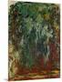 Saule pleureur, Giverny (Weeping willow, Giverny) Painted in Monet's garden at Giverny.-Claude Monet-Mounted Giclee Print