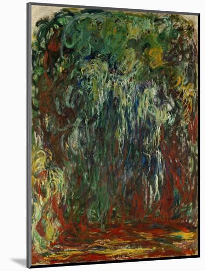 Saule pleureur, Giverny (Weeping willow, Giverny) Painted in Monet's garden at Giverny.-Claude Monet-Mounted Giclee Print