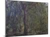 Saule Pleureur-Claude Monet-Mounted Giclee Print