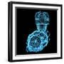 Chelsea Black