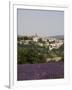 Sault En Provence, Vaucluse, Provence, France, Europe-Angelo Cavalli-Framed Photographic Print