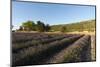 Sault, Provence, France-Sergio Pitamitz-Mounted Photographic Print