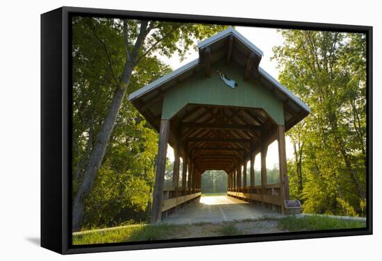 Saultopaul Bridge, Chickamauga, Georgia (Pr)-Maresa Pryor-Framed Stretched Canvas