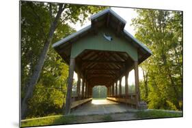 Saultopaul Bridge, Chickamauga, Georgia (Pr)-Maresa Pryor-Mounted Photographic Print