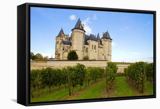 Saumur Castle and Vineyards-neirfy-Framed Stretched Canvas