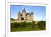 Saumur Castle and Vineyards-neirfy-Framed Photographic Print