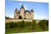 Saumur Castle and Vineyards-neirfy-Mounted Photographic Print