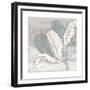 Saumur Fleur 1-Diane Stimson-Framed Premium Giclee Print