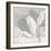 Saumur Fleur 1-Diane Stimson-Framed Premium Giclee Print