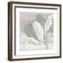 Saumur Fleur 1-Diane Stimson-Framed Premium Giclee Print