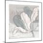 Saumur Fleur 1-Diane Stimson-Mounted Premium Giclee Print